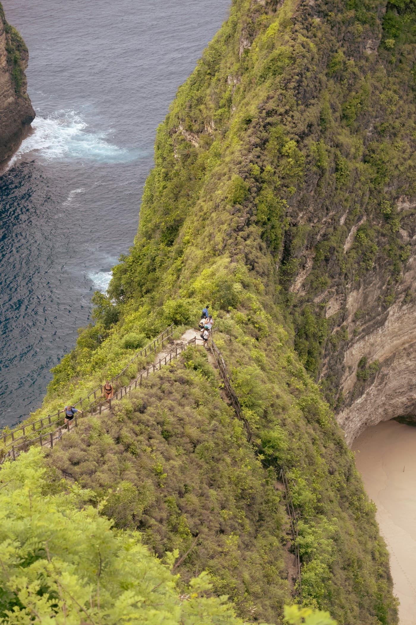 Kelingking Beach dengan tebing hijau dan laut biru Nusa Penida